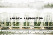 皇马佩佩收入？ 佩佩皇马时期球衣号码？