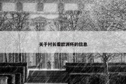 关于村长看欧洲杯的信息