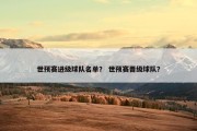 世预赛进级球队名单？ 世预赛晋级球队？