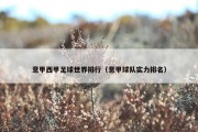 意甲西甲足球世界排行（意甲球队实力排名）