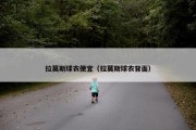 拉莫斯球衣便宜（拉莫斯球衣背面）