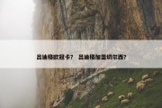 吕迪格欧冠卡？ 吕迪格加盟切尔西？