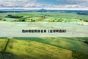 森纳增能教练名单（足球啊森纳）