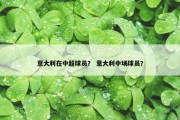 意大利在中超球员？ 意大利中场球员？