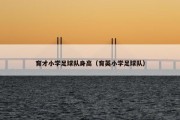 育才小学足球队身高（育英小学足球队）