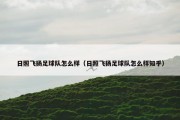 日照飞扬足球队怎么样（日照飞扬足球队怎么样知乎）