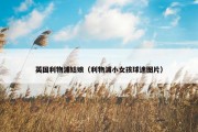 英国利物浦姑娘（利物浦小女孩球迷图片）