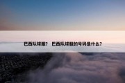 巴西队球服？ 巴西队球服的号码是什么？