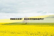 切赫实况足球？ 实况足球切赫和诺伊尔？