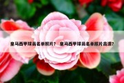 皇马西甲球员名单照片？ 皇马西甲球员名单照片高清？