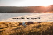 hawthorn球队（harrington球员）
