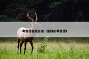 弗雷德曼联名宿（曼联的弗雷德）