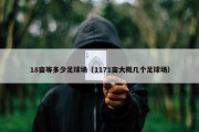 18亩等多少足球场（1171亩大概几个足球场）