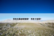 苏克大赛进球集锦？ 苏克十佳球？