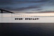 郑宇伯阵？ 郑宇伯什么水平？