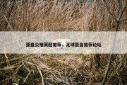 亚盘公推英超推荐，足球亚盘推荐论坛