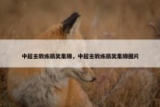 中超主教练搞笑集锦，中超主教练搞笑集锦图片