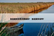 鲁能国安会师决赛回放？ 鲁能国安误判？