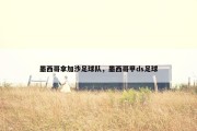 墨西哥拿加沙足球队，墨西哥甲ds足球
