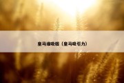 皇马谁吸烟（皇马吸引力）