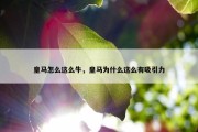 皇马怎么这么牛，皇马为什么这么有吸引力