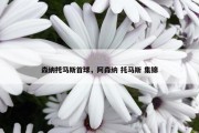 森纳托马斯首球，阿森纳 托马斯 集锦