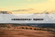 小男孩踢足球名称大全？ 男童踢足球？
