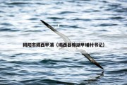 揭阳市揭西甲浦（揭西县棉湖甲埔村书记）