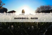 森纳球迷梗叫什么，森纳发展