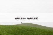 皇马队形什么（皇马队形图）