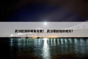 武汉欧洲杯哪里买票？ 武汉看欧冠的地方？