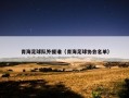 青海足球队外援谁（青海足球协会名单）