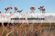 足球裁判5次欧冠，欧冠裁判说什么语言