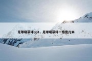足球场草坪ppt，足球场草坪一格宽几米