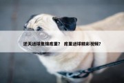 逆天进球集锦库里？ 库里进球精彩视频？