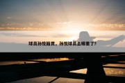 球员孙悦籍贯，孙悦球员去哪里了?