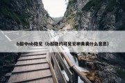 b超中nb隐见（b超隐约可见见卵黄囊什么意思）