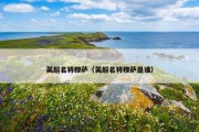英超名将穆萨（英超名将穆萨是谁）