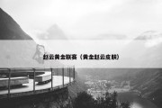 赵云黄金联赛（黄金赵云皮肤）