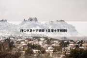 拜仁中卫十字韧带（足球十字韧带）