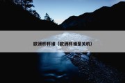欧洲杯杯谁（欧洲杯谁是关机）