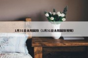 1月31日太阳回放（1月31日太阳回放视频）