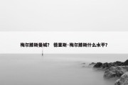 梅尔滕斯曼城？ 德里斯·梅尔滕斯什么水平？