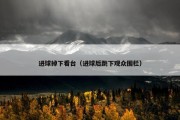 进球掉下看台（进球后跳下观众围栏）