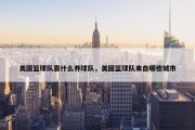美国篮球队靠什么养球队，美国篮球队来自哪些城市