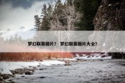 梦幻联赛图片？ 梦幻联赛图片大全？