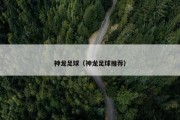 神龙足球（神龙足球推荐）
