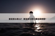 新足球小将31？ 新足球小将33集在线观看？