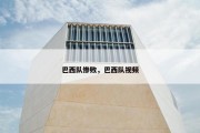 巴西队惨败，巴西队视频