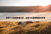 欧冠十大重要数据分析，欧冠十大重要数据分析师